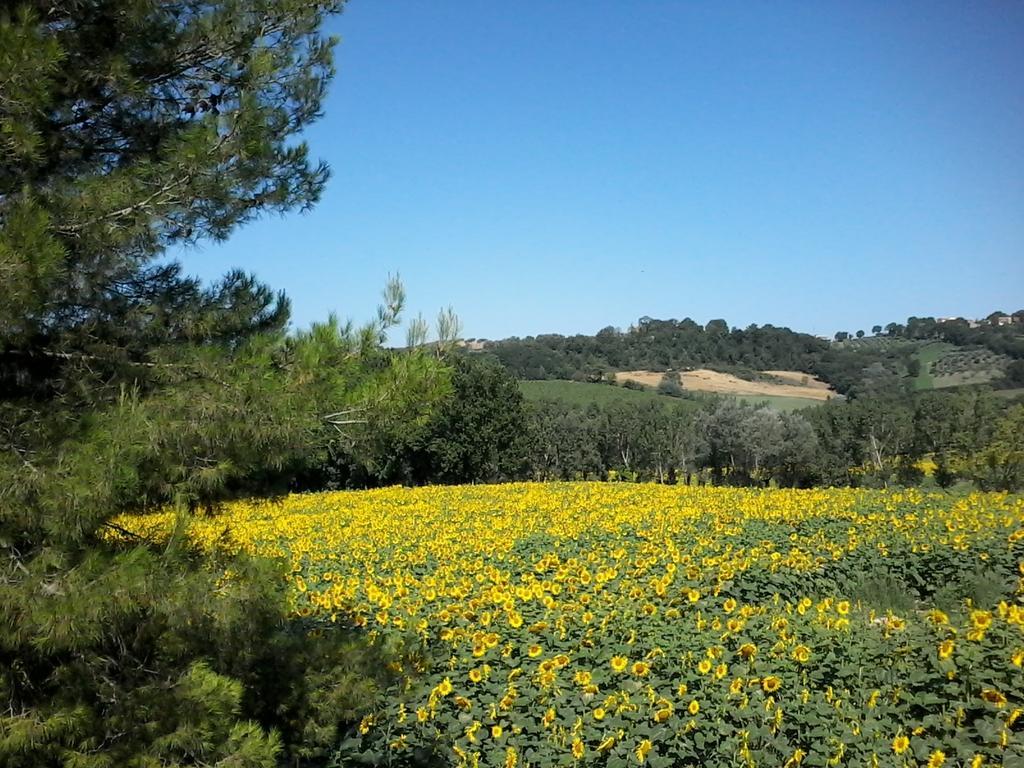 Bed And Breakfast Casale Isorella San Gemini Exterior photo