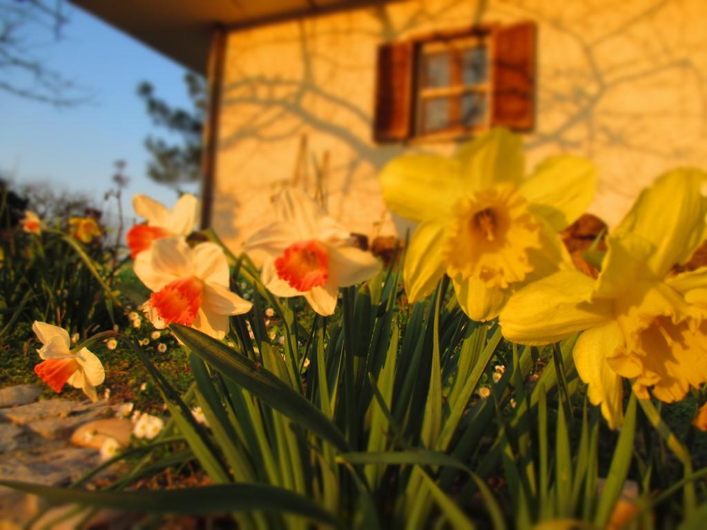 Bed And Breakfast Casale Isorella San Gemini Exterior photo