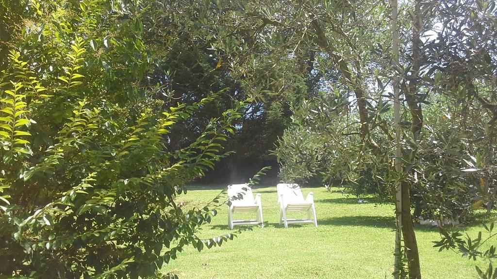 Bed And Breakfast Casale Isorella San Gemini Exterior photo